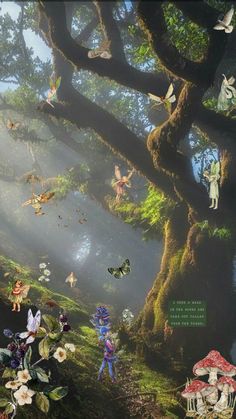 an image of a forest scene with many different things in the air and on the ground