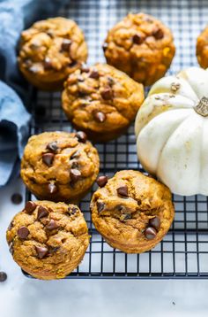 pumpkin and chocolate chip muffins on a cooling rack next to a white pumpkin