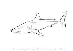 how to draw a shark step by step drawing instructions for kids and beginners with pictures