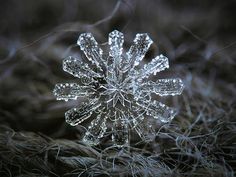 a snowflake that is covered in water droplets on top of some brown grass