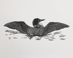 a black and white drawing of a bird with its wings spread out in the water