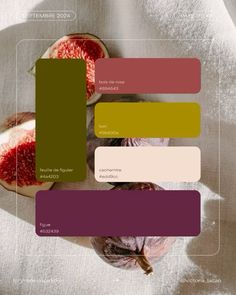 an overhead view of figs on a table with color swatches to match them