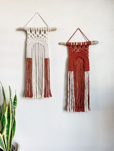 two wall hangings made with macrame yarn and wooden pegs on a white wall next to a potted plant