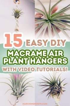 some air plants hanging from the ceiling with text overlay that reads 15 easy diy macrame air plant hangers