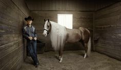 a brown and white horse standing next to a bucket filled with hay in a barn