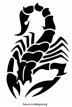 a black and white scorpion tattoo design