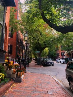 a brick street with cars parked on both sides and trees lining the sidewalk in front of it