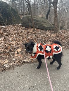 a small black dog wearing a red and white sweater on a leash in the woods