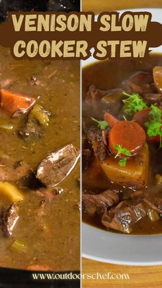 a bowl of venison slow cooker stew with carrots and celery