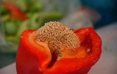 an open red pepper with seeds in it