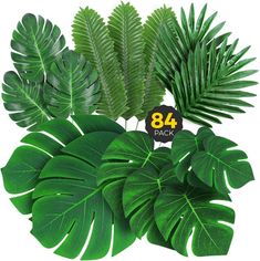 green leaves are arranged in the shape of an eight pack on a white background with black numbers