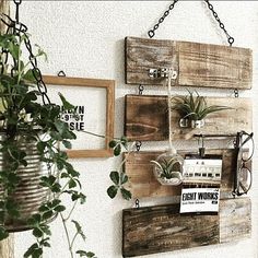 some plants are hanging on the wall with wood planks and metal frames above them