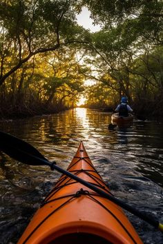 a person in a kayak paddling down a river with trees on either side