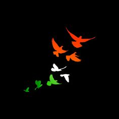 three birds flying in the night sky with green and red colors on their wings,