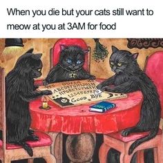 two black cats sitting at a table together