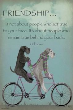 two dogs riding on the back of a bicycle with a scarf around their necks and saying,'friendship is not about people who act true to your face it's about people