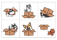 four different pictures of dogs in boxes