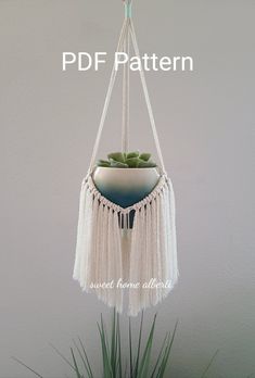 a hanging planter with succulents in it