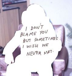 a sign that says i don't blame you but sometimes i wish we never met