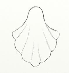 a drawing of a shell on a white paper