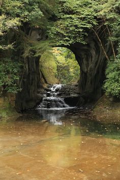 a river flowing through a lush green forest