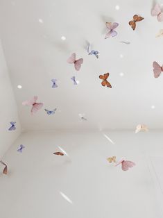 a room filled with lots of butterflies flying in the air and on the ceiling,