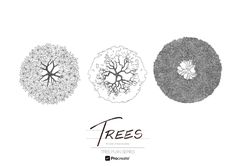 three trees are shown in black and white, with the words tree on each side