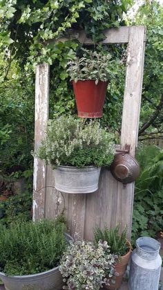 several potted plants are sitting on top of an old wooden structure in the garden