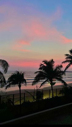 palm trees line the beach as the sun sets