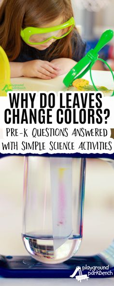 Activities For Kids Preschool, Fall Science Activities, Kids Preschool Learning, Pre-k Science, Fall Science, Mad Scientists, Preschool Stem, Simple Science, Science Activity