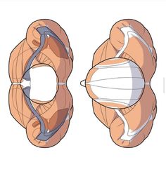 an image of the inner and outer workingss of a human body, with muscles highlighted