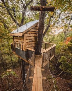 a tree house built in the woods with a rope bridge and trees on each side