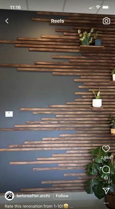 the wall is decorated with wooden planks and potted plants