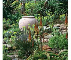 a large vase sitting in the middle of a garden filled with lots of plants and flowers