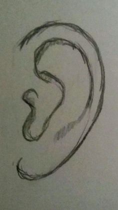 a drawing of a pair of ears