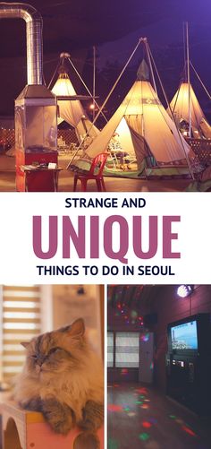 the cover of strange and unique things to do in seoul, with pictures of tents