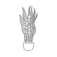 a black and white drawing of a potted plant with long, thin leaves on it