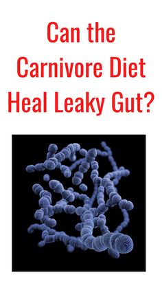 Heal Leaky Gut, Improve Gut Health, Leaky Gut, Autoimmune Disease, Gut Health, Health Problems, Some People