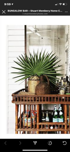 a plant is sitting on top of a table