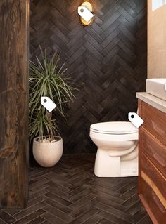 a bathroom with a toilet, plant and wooden cabinetry in it's corner