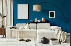 a dog is sitting on the couch in this living room with blue walls and white rugs