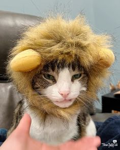 a cat wearing a furry hat with horns on it's head is being petted by someone