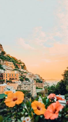 flowers are in the foreground and buildings on the hill behind them, as the sun sets