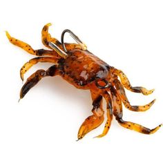 an orange and black crab on a white background