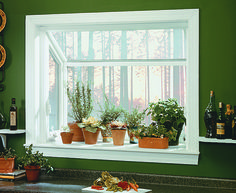 there are many potted plants on the window sill in this green room with white trim