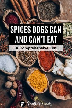 spices and herbs in bags with the title spice dogs can and can't eat