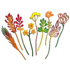 four different colored flowers on a white background