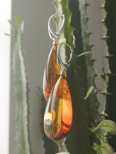 Dark cognac color natural amber drops earrings medium size Cognac Color, Classy Style, Natural Amber, Amber Jewelry, Jewelry For Her, Baltic Amber, Wedding Earrings, Fashion Classy, Cognac