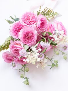 a bouquet of pink flowers on a white background