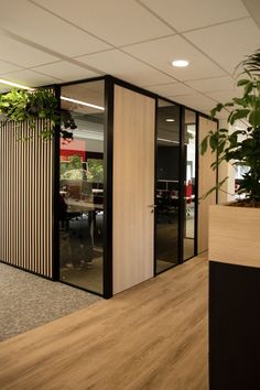 an office with wooden flooring and black glass partitions on the walls, along with potted plants